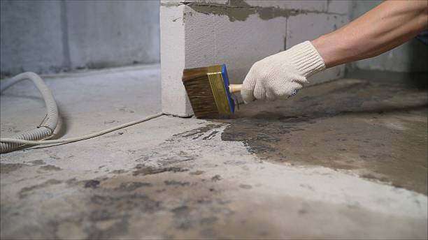 SJ Waterproofing Pros Waterproofing coverage map for Saint Johns, OH and surrounding area